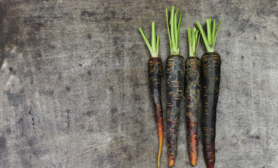 BLACK CARROT: Det mørke fargestoffet black carrot motvirker at betakarotenet forvandler deg til en oransje gulrot, en risiko som er til stede ved andre betakaroten-produkter. BLACK CARROT: Det mørke fargestoffet black carrot motvirker at betakarotenet forvandler deg til en oransje gulrot, en risiko som er til stede ved andre betakaroten-produkter.